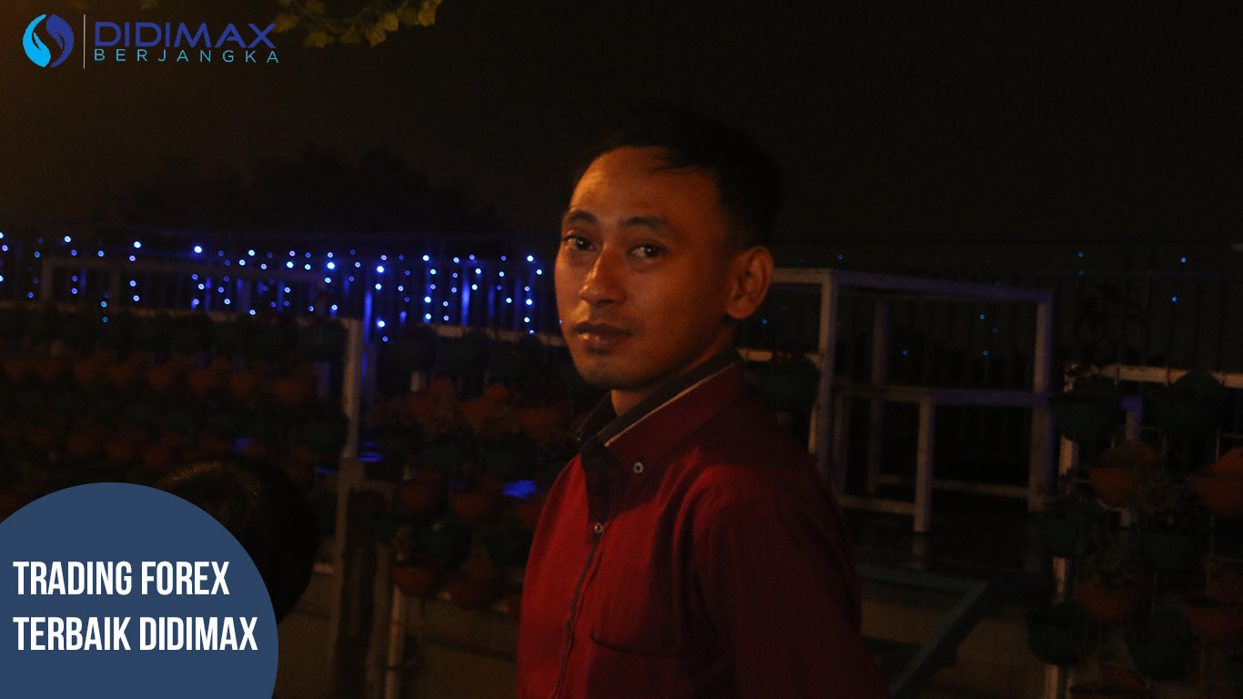 TRADING FOREX TERBAIK DI JENEPONTO SULAWESI SELATAN