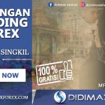 BIMBINGAN TRADING FOREX DI ACEH SINGKIL