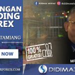 BIMBINGAN TRADING FOREX DI ACEH TAMIANG