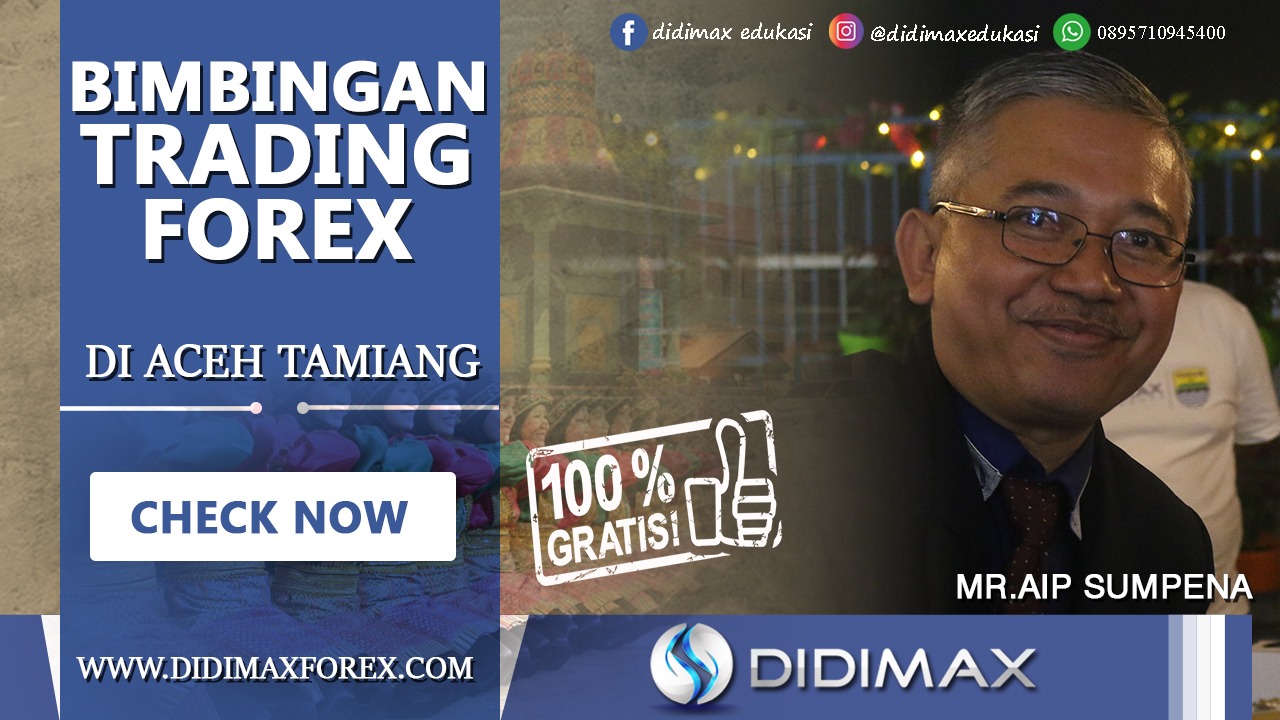 BIMBINGAN TRADING FOREX DI ACEH SINGKIL