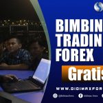BIMBINGAN TRADING FOREX DI GAYO LUES ACEH