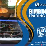 BIMBINGAN TRADING FOREX DI GUNUNGSITOLI