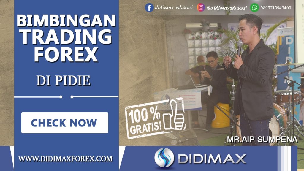 BIMBINGAN TRADING FOREX DI PIDIE ACEH