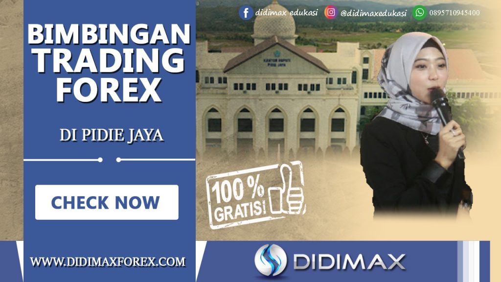 BIMBINGAN TRADING FOREX DI PIDIE JAYA ACEH