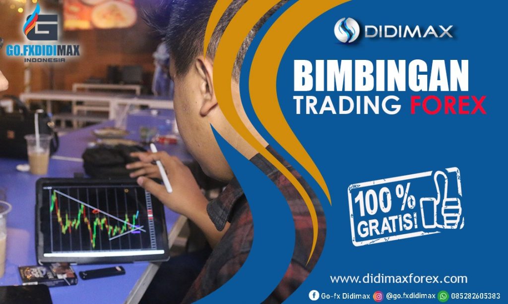 BIMBINGAN TRADING FOREX DI TOBA SAMOSIR