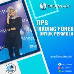 CARA TRADING FOREX UNTUK PEMULA