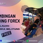 BIMBINGAN TRADING DI FOREX DI BANGKA BARAT