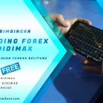 BIMBINGAN TRADING FOREX DI BANGKA SELATAN