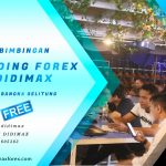 BIMBINGAN TRADING FOREX DI BELITUNG