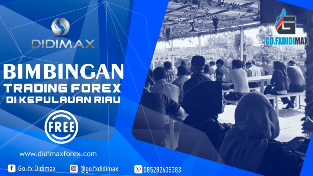 BIMBINGAN TRADING FOREX DI BINTAN