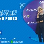 BIMBINGAN TRADING FOREX DI INDRAGIRI HULU