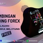 BIMBINGAN TRADING FOREX DI KABUPATEN BANGKA
