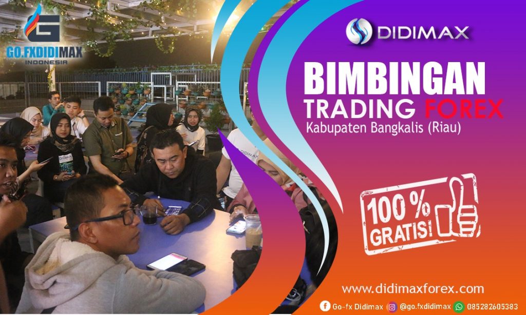 BIMBINGAN TRADING FOREX DI KABUPATEN BENGKALIS