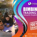 BIMBINGAN TRADING FOREX DI KABUPATEN BENGKALIS