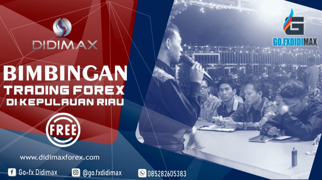 BIMBINGAN TRADING FOREX DI LINGGA
