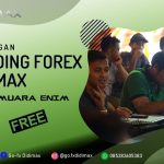 BIMBINGAN TRADING FOREX DI MUARA ENIM
