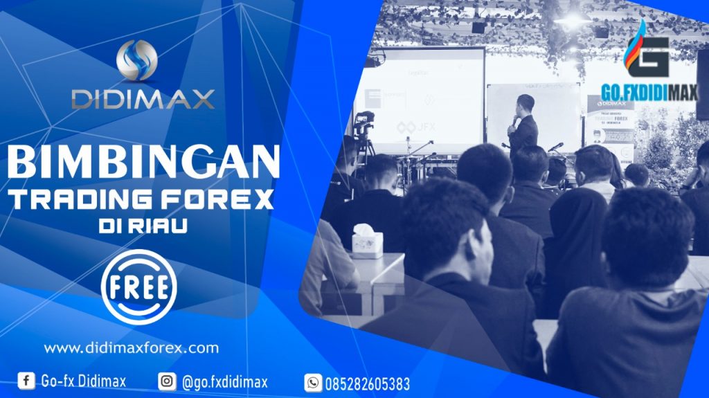BIMBINGAN TRADING FOREX DI PEKANBARU RIAU
