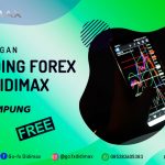 BIMBINGAN TRADING FOREX DI PRINGSEWU LAMPUNG