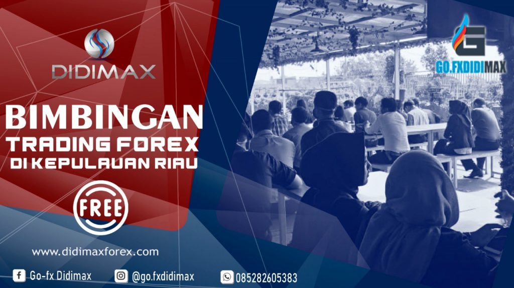 BIMBINGAN TRADING FOREX DI TANJUNGPINANG