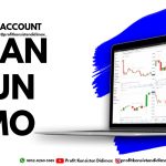 APA AJA PERAN AKUN DEMO?