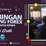 BIMBINGAN TRADING FOREX DI JEPARA