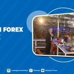 EDUKASI FOREX TERBAIK DI BANJARMASIN KALIMANTAN