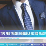TIPS PRO TRADER MEGELOLA RESIKO TRADING FOREX