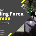 BIMBINGAN TRADING FOREX DI LOMBOK TENGAH