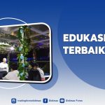 EDUKASI FOREX TERBAIK DI KEPULAUAN SELAYAR