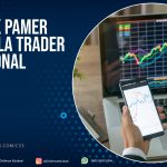 Tips Trik Pamer Profit Ala Trader Profesional