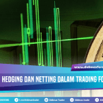 APA ITU HEDGING DAN NETTING DALAM TRADING FOREX ?