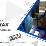 BIMBINGAN TRADING FOREX DI KATINGAN