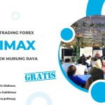 BIMBINGAN TRADING FOREX DI MURUNG RAYA