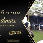 BIMBINGAN TRANDING FOREX DI BONE