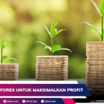 3 STRATEGI FOREX UNTUK MAKSIMALKAN PROFIT