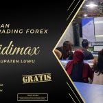BIMBINGAN TRADING FOREX DI LUWU SULAWESI