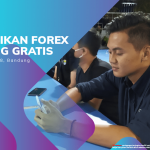 PENDIDIKAN FOREX TRADING GRATIS DI DKI JAKARTA