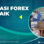 PRIVATE FOREX TRADING DI PEKANBARU RIAU