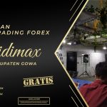 BIMBINGAN TRADING FOREX DI GOWA