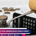APA SAJA SIH YANG MEMENGARUHI HARGA FOREX?