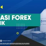 PRIVATE FOREX TRADING DI TANJUNG JABUNG BARAT
