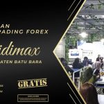 BIMBINGAN TRADING FOREX DI BATU BARA