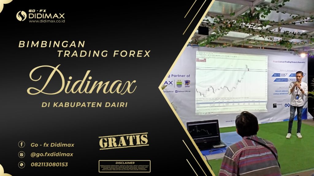 BIMBINGAN TRADING FOREX DI DAIRI