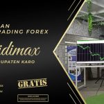 BIMBINGAN TRADING FOREX DI KARO