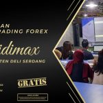 BIMBINGAN TRADING FOREX DI DELI SERDANG