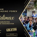 BIMBINGAN TRADING FOREX DI HUMBANG HASUNDUTAN