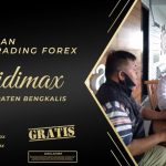 BIMBINGAN TRADING FOREX DI BENGKALIS