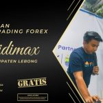 BIMBINGAN TRADING FOREX DI LEBONG