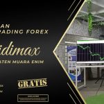 TRADING FOREX DI MUARA ENIM