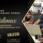 BIMBINGAN TRADING FOREX DI PENUKAL ABAB LEMATANG ILIR